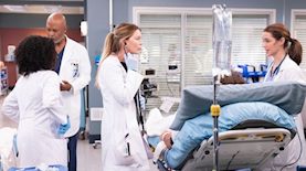 האנטומיה של גריי, צילום: אינסטגרם